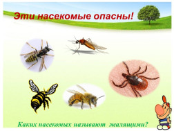 Опасные насекомые.